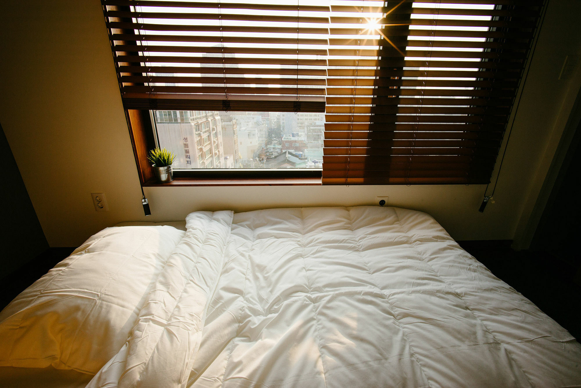 Morning Dew Guesthouse Busan Exterior photo